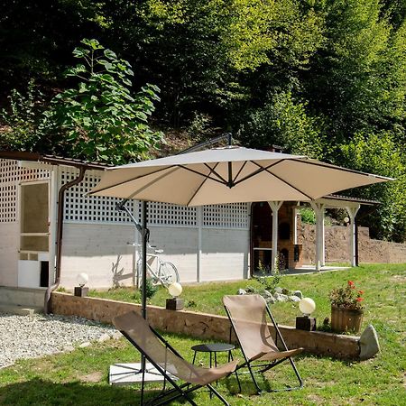 Вилла Casa Valea Prejbei Rau Sadului Экстерьер фото