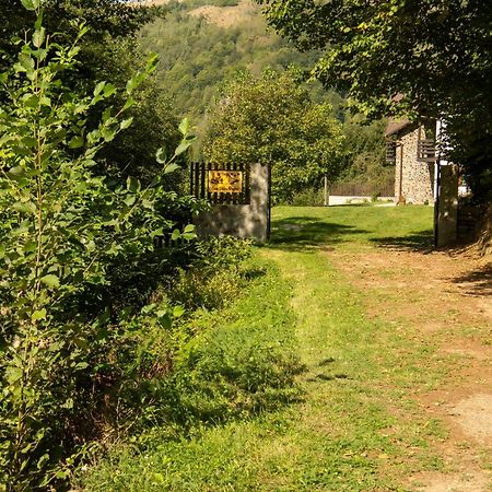 Вилла Casa Valea Prejbei Rau Sadului Экстерьер фото
