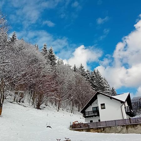 Вилла Casa Valea Prejbei Rau Sadului Экстерьер фото