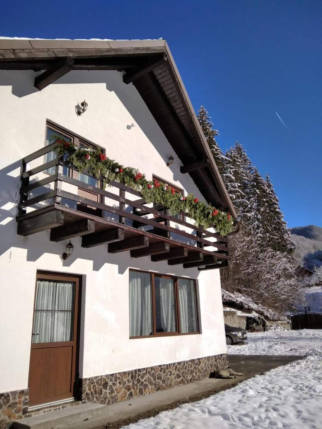 Вилла Casa Valea Prejbei Rau Sadului Экстерьер фото