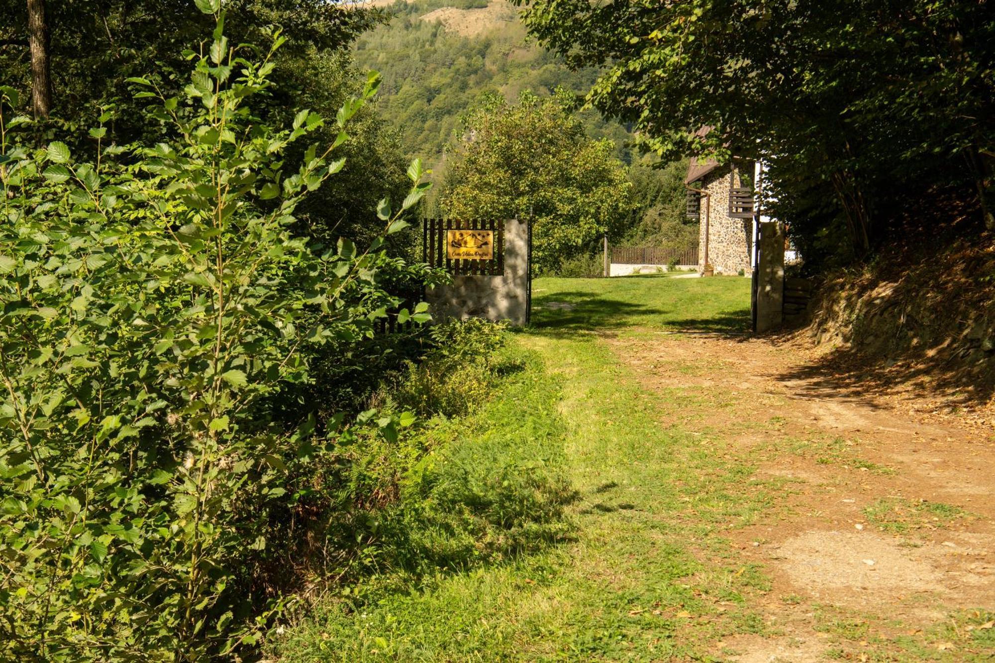 Вилла Casa Valea Prejbei Rau Sadului Экстерьер фото