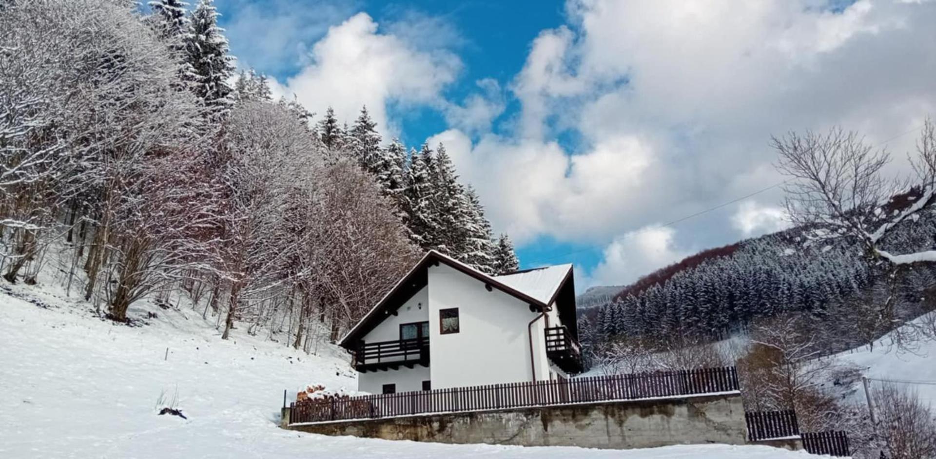 Вилла Casa Valea Prejbei Rau Sadului Экстерьер фото