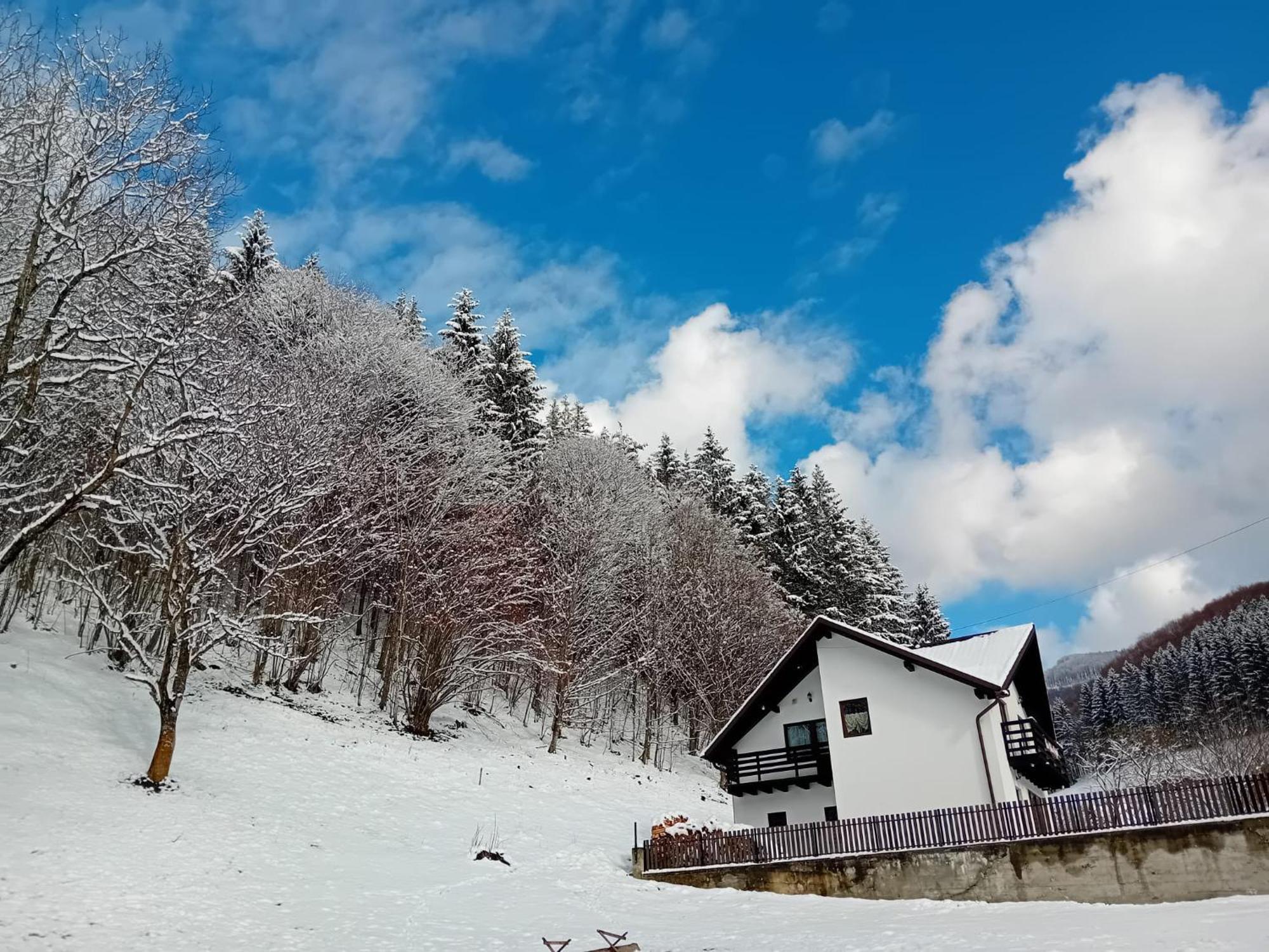 Вилла Casa Valea Prejbei Rau Sadului Экстерьер фото